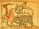 codex.vindobonensis
